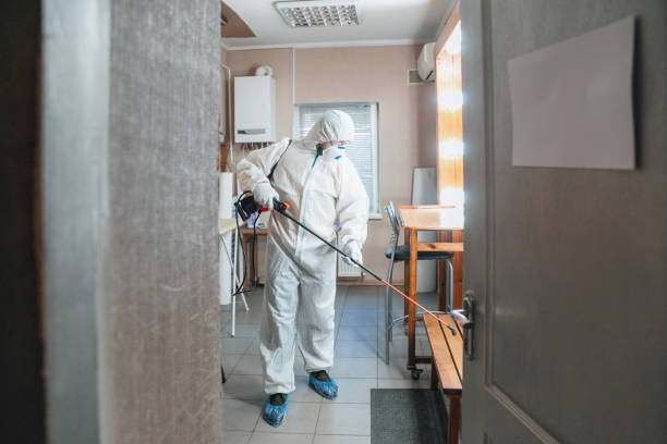 Best Forensic Mold Investigation  in Woodsville, NH