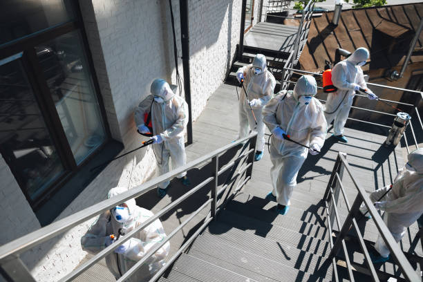 Best Environmental Consulting for Mold Prevention  in Woodsville, NH