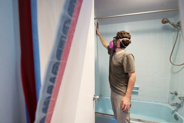 Best Commercial Mold Inspection  in Woodsville, NH