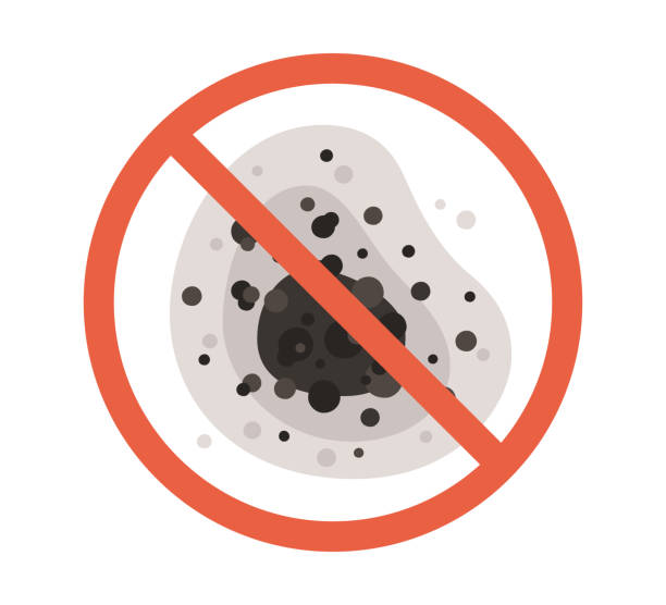 Best Mold Remediation for Healthcare Facilities  in Woodsville, NH
