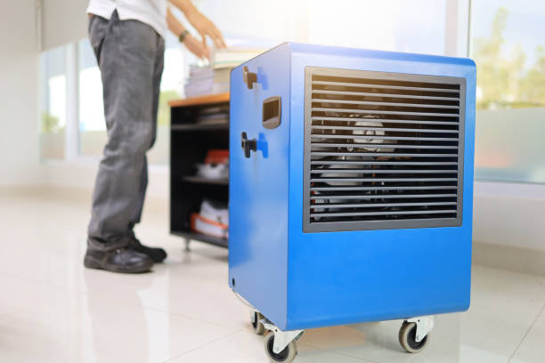 Best Dehumidification Services  in Woodsville, NH